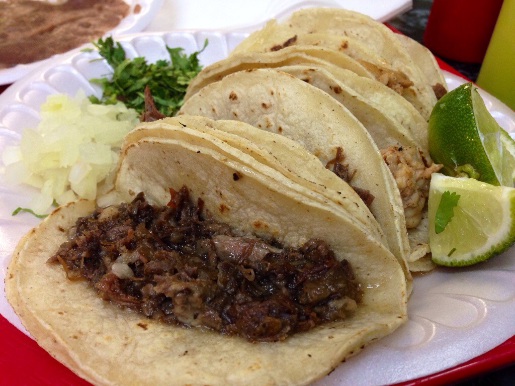Barbacoa Tacos